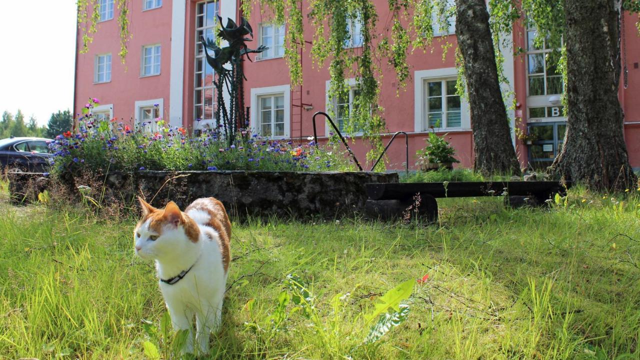 Vanha Koulu Suolahti Extérieur photo