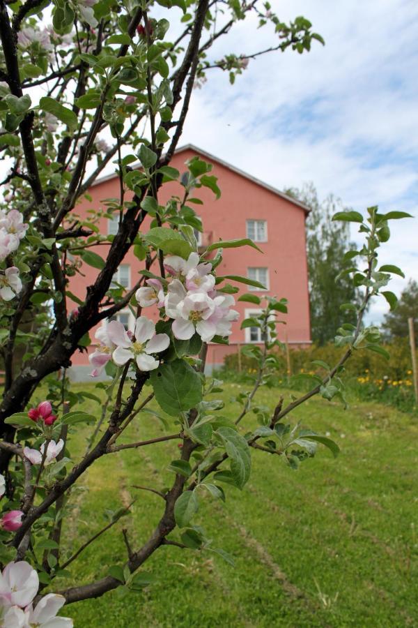 Vanha Koulu Suolahti Extérieur photo